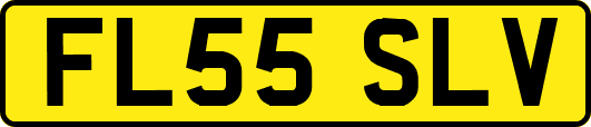 FL55SLV