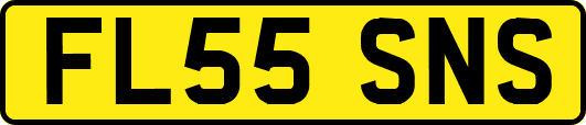 FL55SNS