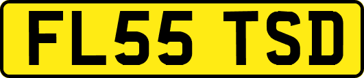 FL55TSD