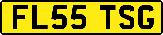 FL55TSG