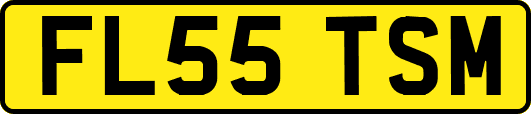 FL55TSM
