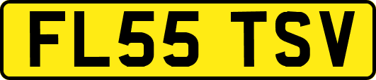 FL55TSV