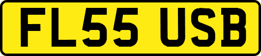 FL55USB