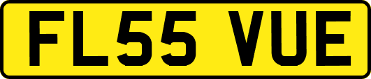 FL55VUE