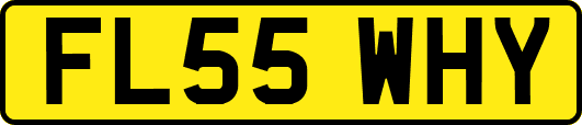 FL55WHY