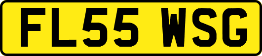 FL55WSG