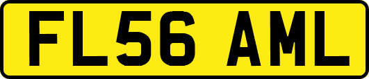 FL56AML