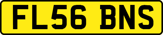 FL56BNS