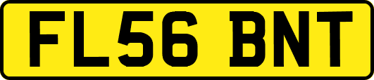 FL56BNT