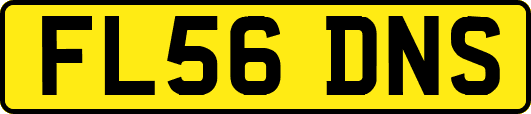 FL56DNS