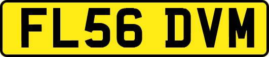 FL56DVM