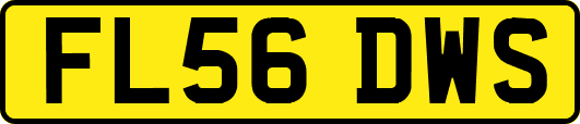FL56DWS