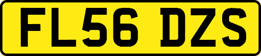 FL56DZS