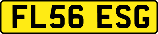 FL56ESG