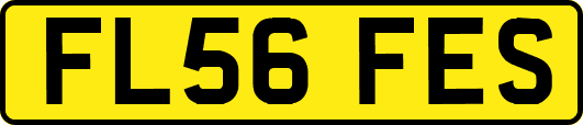 FL56FES