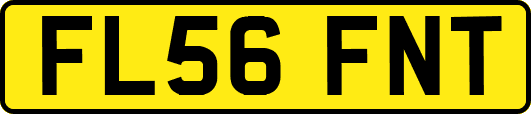 FL56FNT