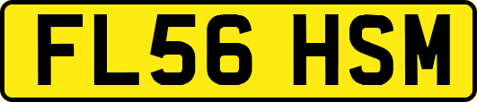 FL56HSM