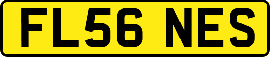 FL56NES