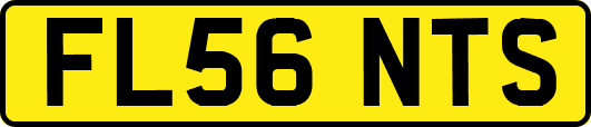 FL56NTS