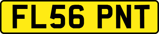 FL56PNT