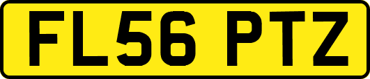 FL56PTZ