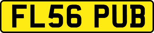FL56PUB