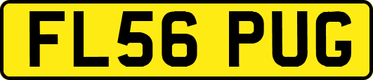 FL56PUG