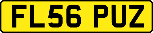 FL56PUZ