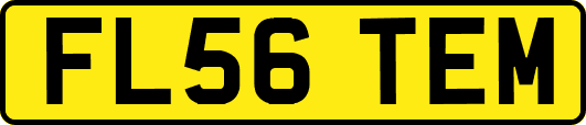 FL56TEM