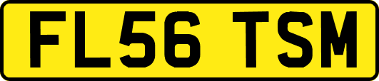 FL56TSM