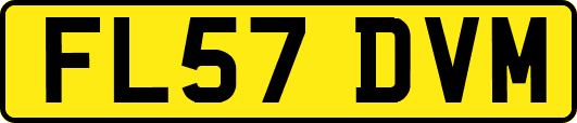 FL57DVM