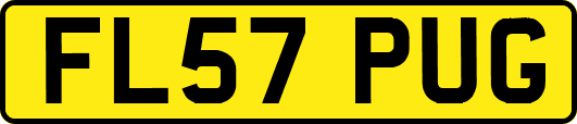 FL57PUG