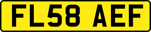 FL58AEF