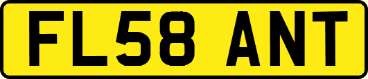FL58ANT