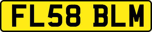 FL58BLM