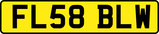 FL58BLW