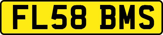 FL58BMS