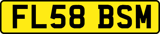 FL58BSM