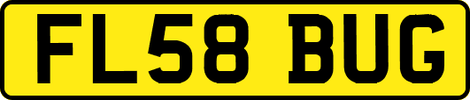 FL58BUG