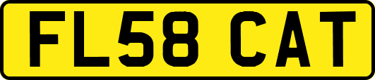 FL58CAT