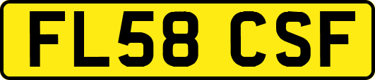 FL58CSF