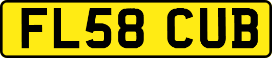 FL58CUB