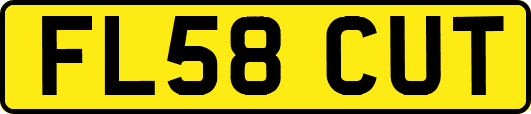 FL58CUT
