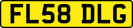 FL58DLG