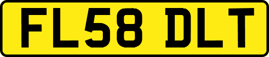 FL58DLT