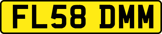 FL58DMM