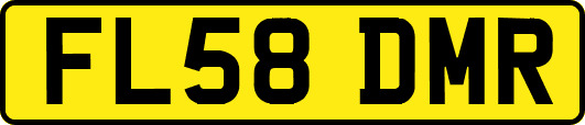 FL58DMR