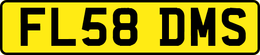 FL58DMS