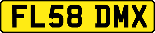 FL58DMX