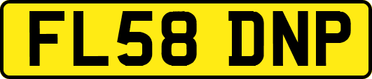 FL58DNP